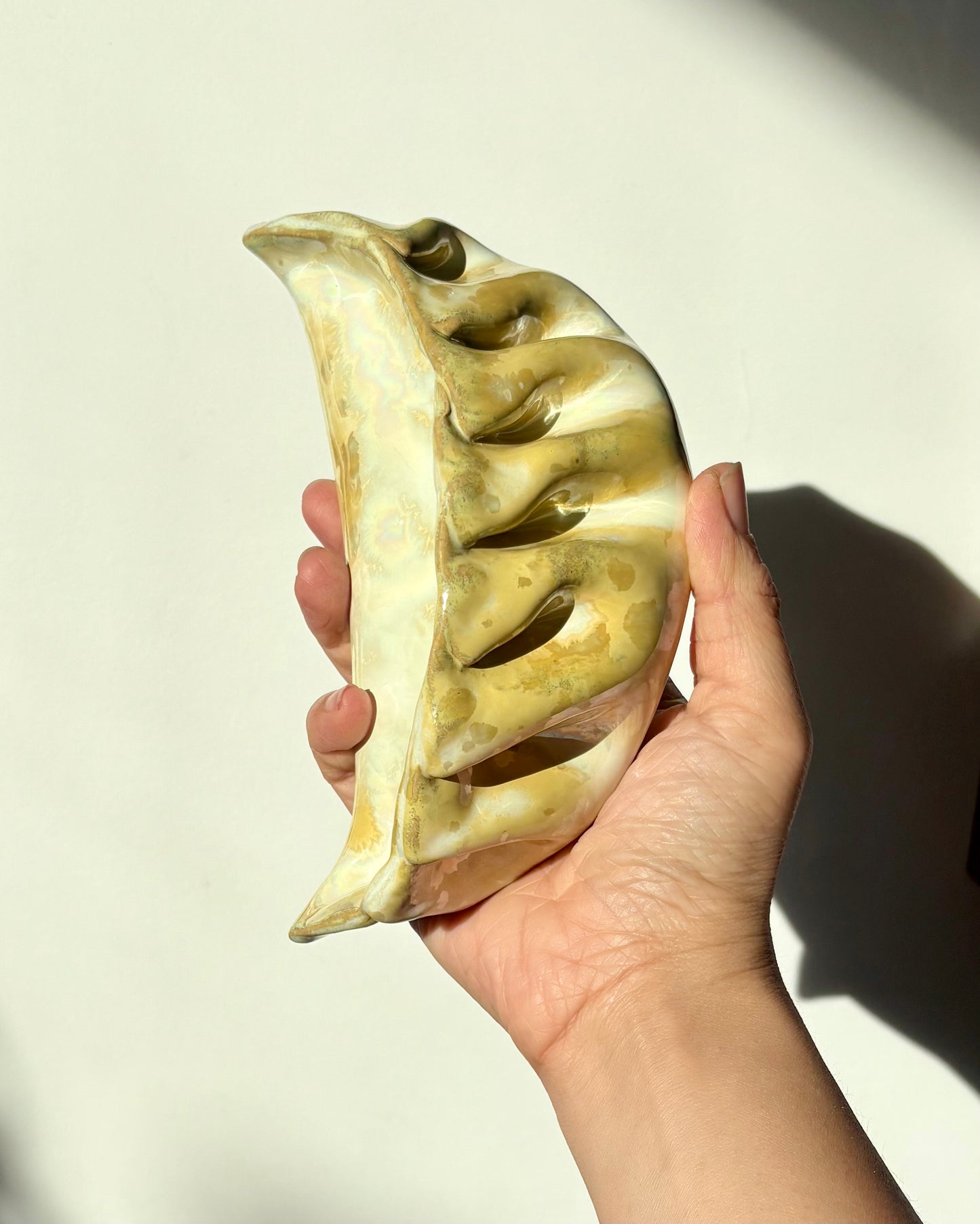 XXL Crispy Dumpling