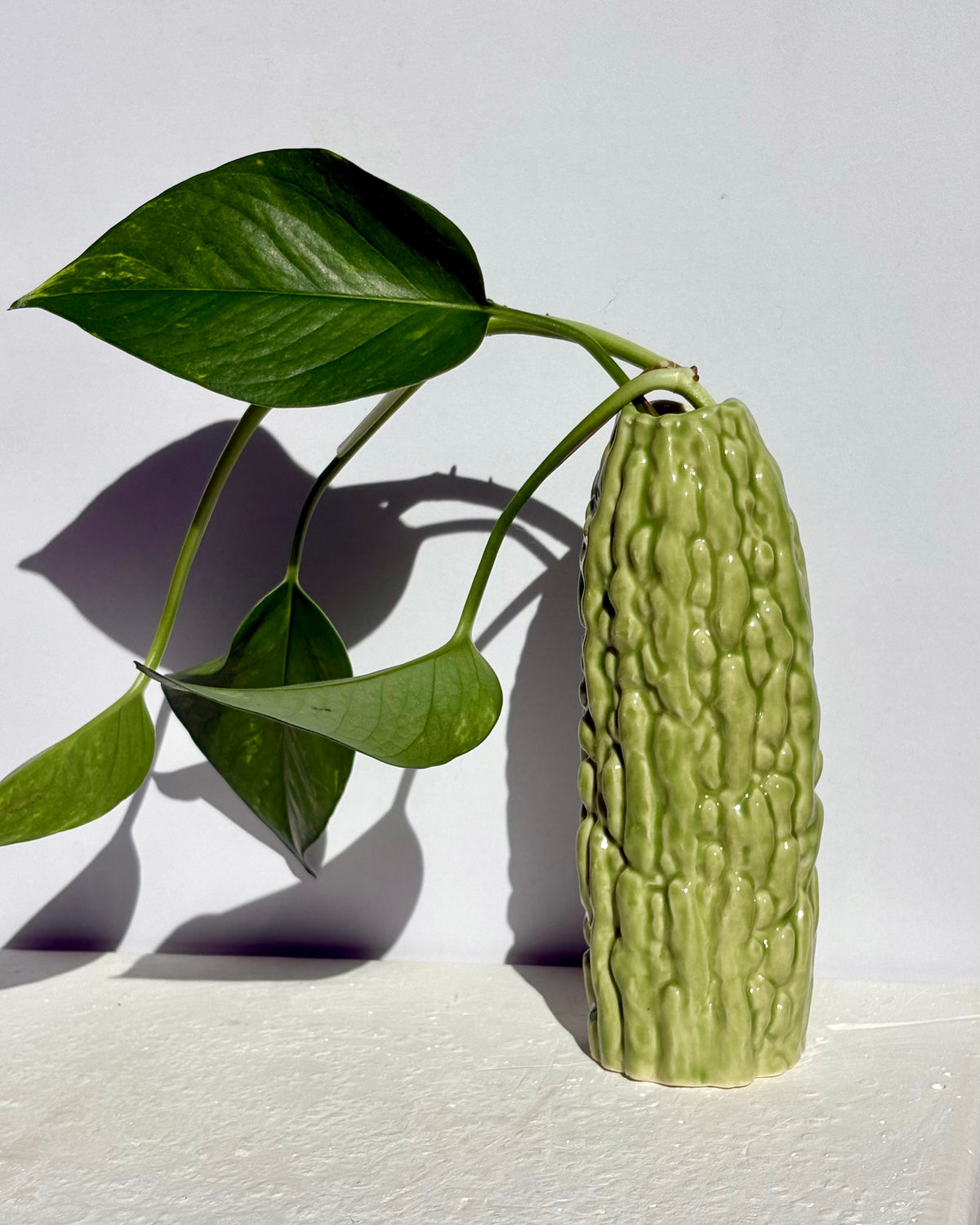 Bittermelon Vase