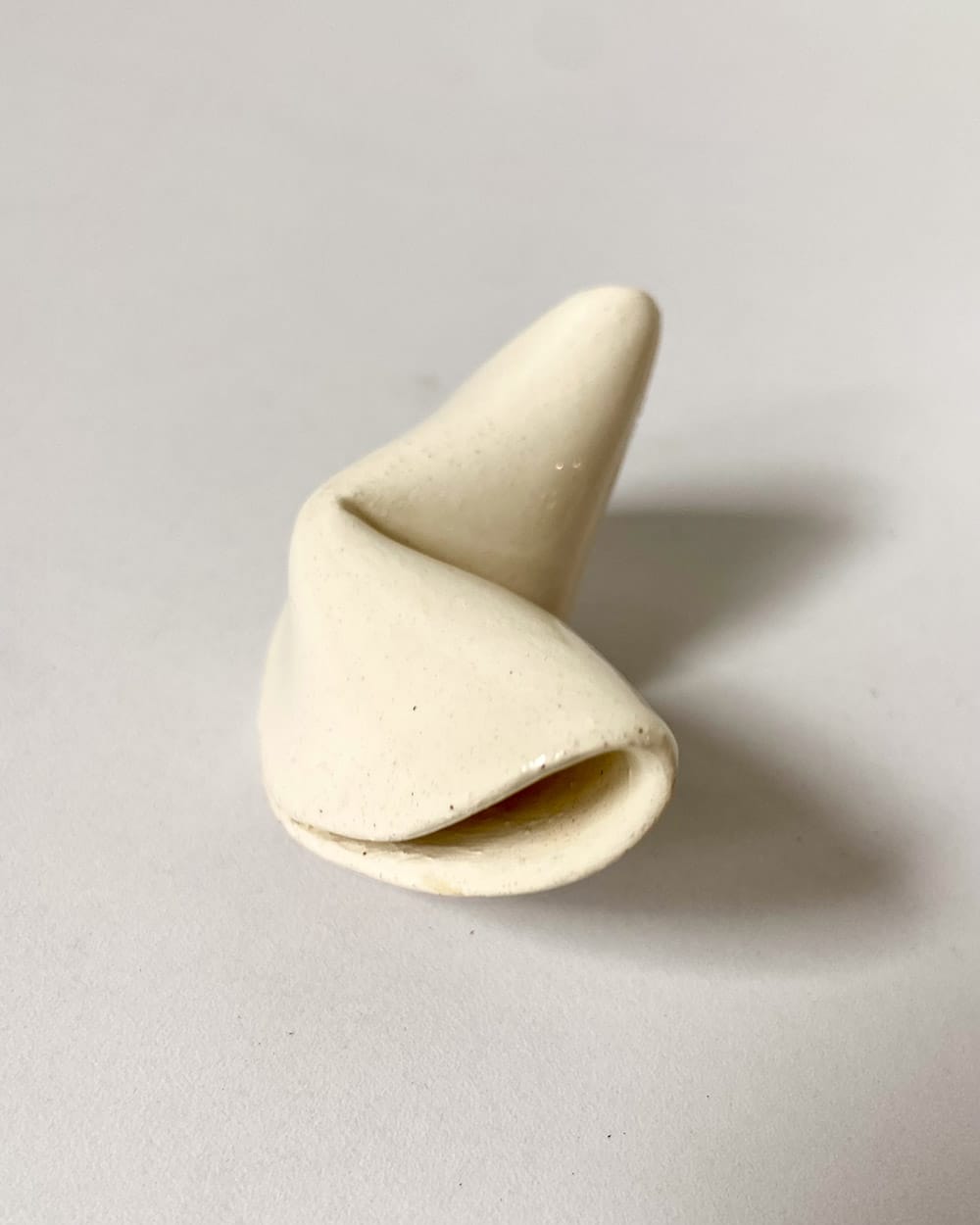 Fortune Cookie